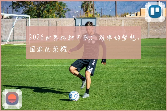 2026世界杯种子队：冠军的梦想，国家的荣耀