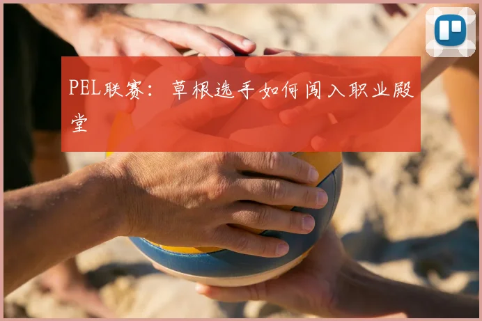 PEL联赛：草根选手如何闯入职业殿堂