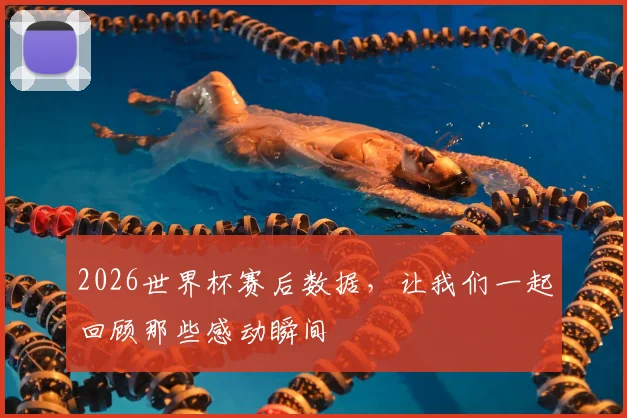 2026世界杯赛后数据，让我们一起回顾那些感动瞬间