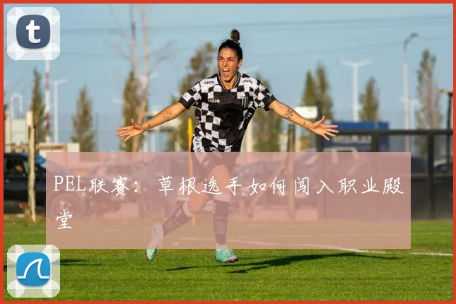 PEL联赛：草根选手如何闯入职业殿堂