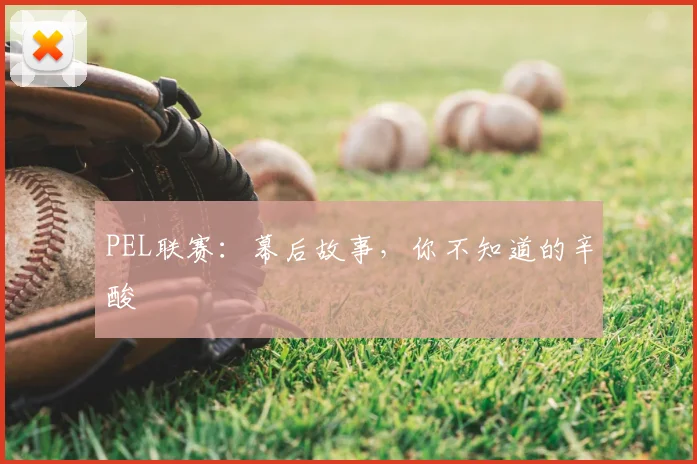 PEL联赛：幕后故事，你不知道的辛酸
