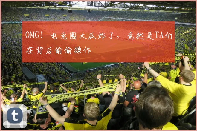 OMG！电竞圈大瓜炸了，竟然是TA们在背后偷偷操作